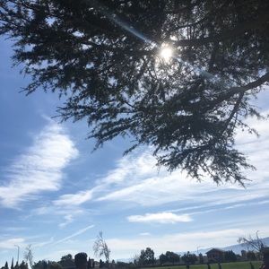 Meet your Posher, Lorena